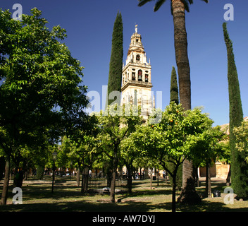 Patio de naranjos, Torre del Alminar, Mezquita, Cordoue, Andalousie, Sud de l'Espagne Banque D'Images