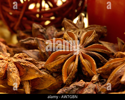 Anis étoilé (illicium verum) Banque D'Images