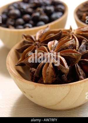 Anis étoilé (illicium verum) et le genévrier commun (Juniperus communis) Banque D'Images