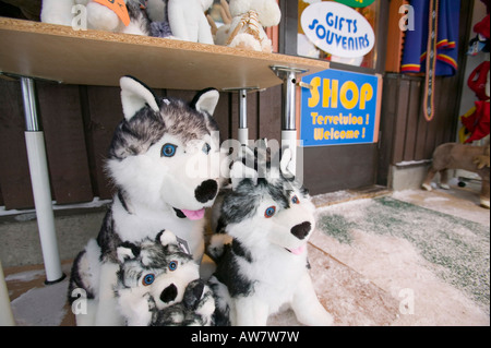 Une boutique vendant des chiens husky adorable en peluche à Saariselka Finlande du Nord Banque D'Images