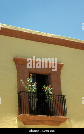 Des fleurs sur le balcon d'une maison coloniale espagnole dans la ville de Oaxaca, Mexique Banque D'Images