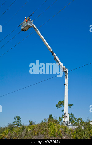 Les travailleurs de service de maintenance travaillant sur la ligne d'alimentation électrique hydro à partir d'une grue Banque D'Images