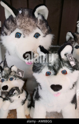 Une boutique qui vend des chiens husky adorable en peluche à Saariselka Finlande du Nord Banque D'Images