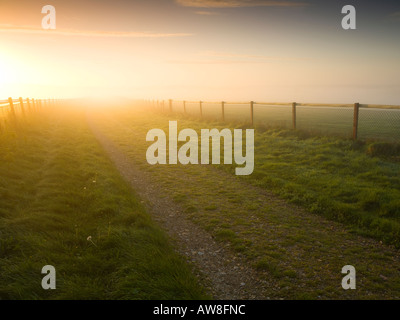 Les voyageurs à pied sur feed, près de Kingsclere North Wessex Downs AONB Hampshire UK Banque D'Images