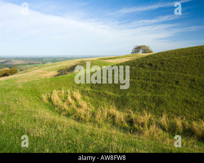 Louche Hill Fort inachevé Grand Litchfield bas Bughclere AONB près de Hampshire UK Banque D'Images