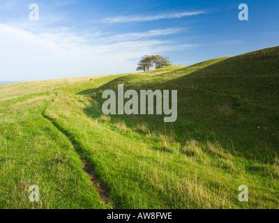 Louche Hill Fort inachevé Grand Litchfield bas Bughclere AONB près de Hampshire UK Banque D'Images