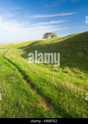 Louche Hill Fort inachevé Grand Litchfield bas Bughclere AONB près de Hampshire UK Banque D'Images