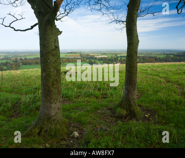 Vue depuis la colline de Fort Grande louche non fini vers le bas près de l'AONB Litchfield Ancienne Bughclere Hampshire UK Banque D'Images