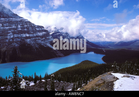 Tempête hivernale de compensation sur le Lac Peyto Banff National Park Alberta Canada Banque D'Images