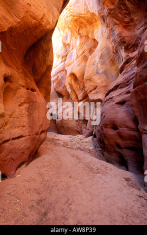 Slot Canyon Buckskin Gulch dans Paria Canyon désert Arizona Vermilion Cliffs Banque D'Images