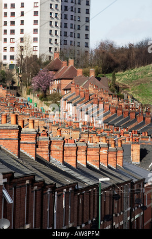 Maisons mitoyennes et un immeuble d'appartements à Sneinton, Nottingham, Royaume-Uni Banque D'Images