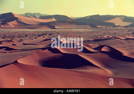 Dunes en Namibie, Afrique Banque D'Images