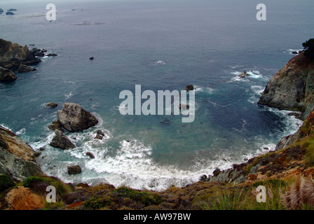 Cliff et lions de mer sur la Pacific Highway 1 un Big Sur, Californie, États-Unis Banque D'Images