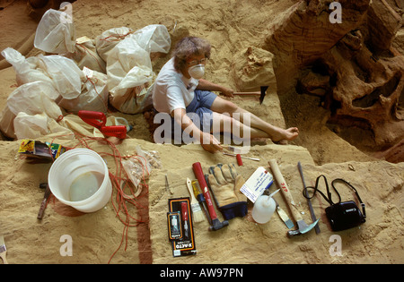 Outils d'excaver mammouth colombien paléontologue reste Le Mammoth Site Dakota du Sud Banque D'Images