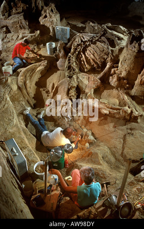 Les paléontologues l'Excavation mammouth colombien reste Le Mammoth Site Dakota du Sud Banque D'Images