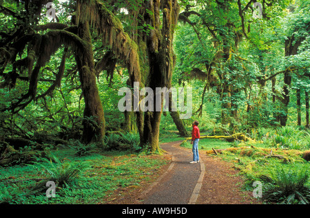 Randonneur dans une veste rouge sur le hall de mousses Hoh Rain Forest Trail Olympic National Park Washington Banque D'Images