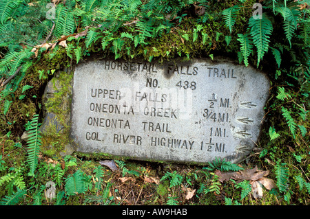 La prêle Falls trail sign entouré de fougères Columbia River Gorge National Scenic Area Oregon Banque D'Images