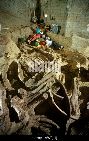 Les paléontologues l'Excavation mammouth colombien reste Le Mammoth Site Dakota du Sud Banque D'Images