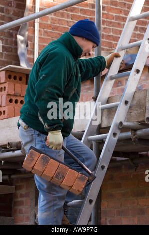 L'échelle des briques constructeur Banque D'Images