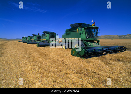 Combinant le BLÉ DE FORCE ROUX DE PRINTEMPS AVEC JOHN DEERE 9600 avec 30 amp amp apos HEADROW MONTANA Banque D'Images