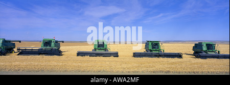 Combinant le BLÉ DE FORCE ROUX DE PRINTEMPS AVEC JOHN DEERE 9600 AVEC HEADROW HARDIN MT Banque D'Images