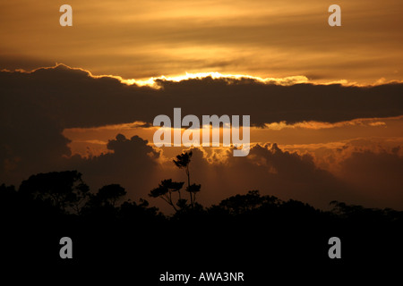 Coucher du soleil à parc national de Soberania, République du Panama. Banque D'Images