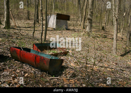 Vieille cabane vide dans la forêt images photos photos photographie nature grandissant dans les ruines abandonnées aux Etats-Unis US horizontal haute résolution Banque D'Images