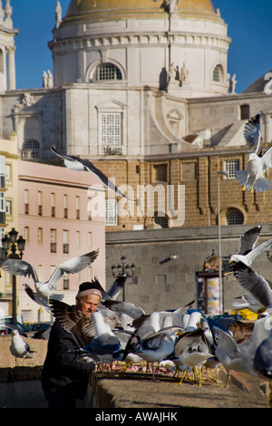 Un vieil homme rss a flock of seagulls à Cadix en Espagne dans l'arrière-plan est la ville la cathédrale de dôme doré Banque D'Images