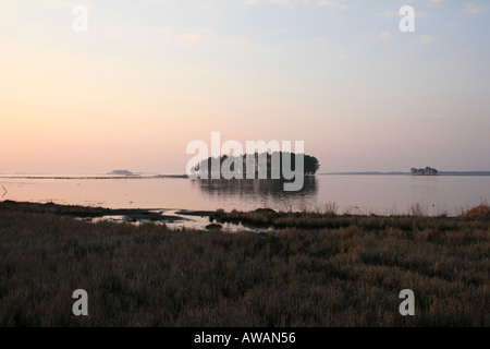 Le lever du soleil sur la rivière Blackwater Banque D'Images