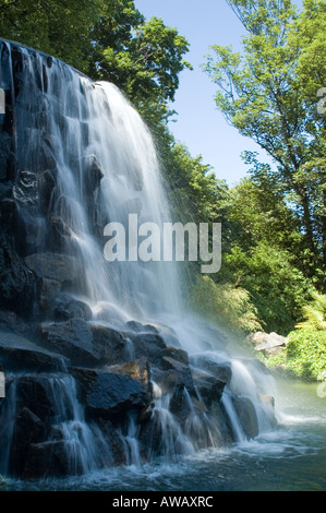 Chute d'Iveagh Gardens, Dublin, Irlande Banque D'Images