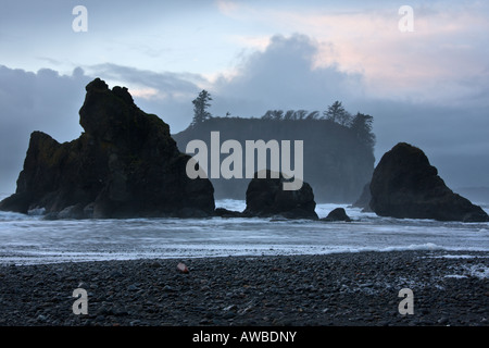 Les piles de la mer au coucher du soleil, Ruby Beach, Washington, USA Banque D'Images