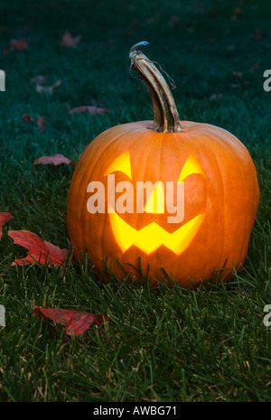 Still Life of a jack o lantern Banque D'Images