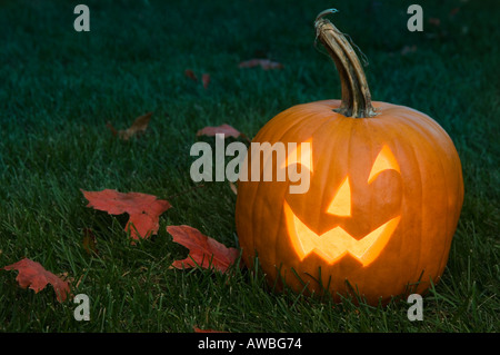 Still Life de jack o lantern Banque D'Images