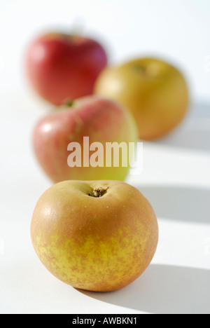 Sélection de pommes en anglais Banque D'Images