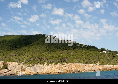 Pineclad Hills à la baie de Cala Llonga Ibiza Iles Baléares Banque D'Images