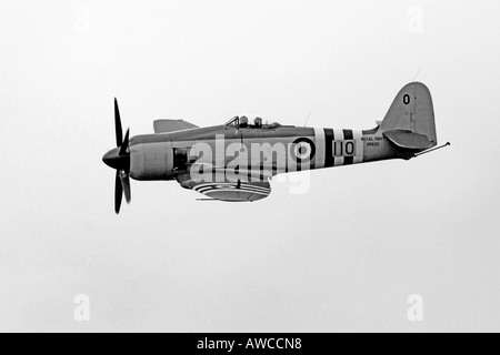 Ancien combattant de la guerre de Corée le Hawker Sea Fury Banque D'Images