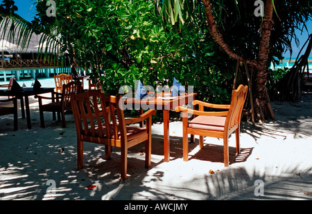 Beachbar sous les palmiers Océan Indien Maldives atoll Meemu Banque D'Images