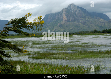 Paysage rural de KANYAKUMARI DISTRICT DU SUD de Tamil Nadu Banque D'Images