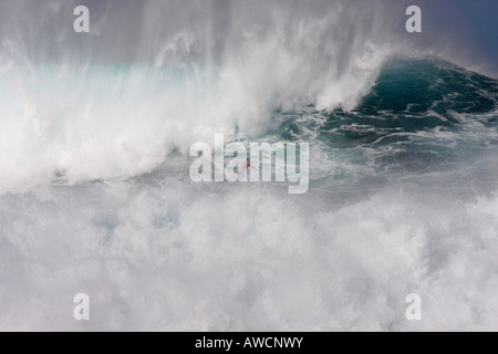 Des vagues énormes AU 'pipeline' WAIMEA,plage, CÔTE NORD, Oahu, Hawaii SURF AVENTUREUX ENCOURAGER Banque D'Images