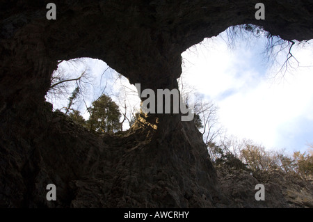 Voir à la recherche jusqu'à la plus naravni mali (le petit pont naturel) au cours de l'hiver dans la gorge karstique Rakov Skocjan, Slovénie Banque D'Images