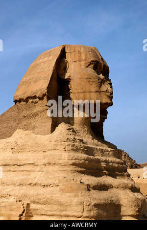 Le grand Sphinx de Gizeh, près du Caire, Egypte, Afrique du Sud Banque D'Images