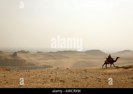 Cavalier de chameau dans le désert, Giza, Cairo, Égypte, Afrique du Nord Banque D'Images