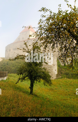 Harburg Souabe Bavaria Allemagne château dans la poussière du matin Banque D'Images