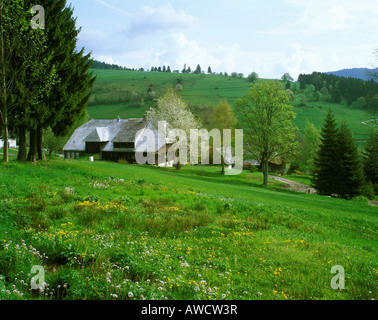 Maisons de ferme près de Todtmoos Baden-württemberg, Germny Banque D'Images