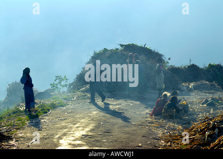 L'EXTRACTION DE JUS DE CANNE À SUCRE POUR LA FABRICATION DE JAGRÉ DANS KOVILOOR PRÈS DE MUNNAR KERALA Banque D'Images