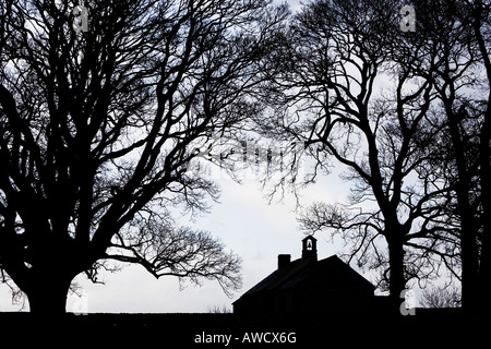 Waitby la silhouette des arbres de chêne et de l'école. La région de Cumbria. UK Banque D'Images