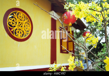 Fleurs sur arbre à tombeau Thoai Ngoc Hau Banque D'Images