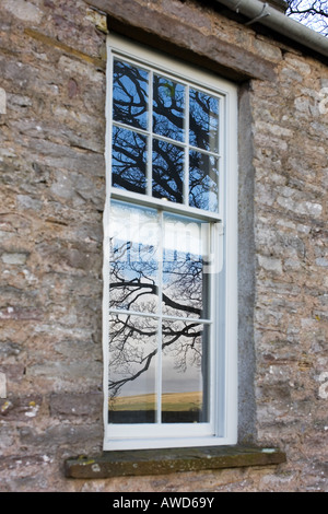 La réflexion d'un chêne sur la vitre d'une fenêtre à guillotine. Waitby Waitby, école, Cumbria. UK Banque D'Images