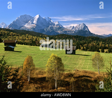 Prairie dans l'automne, Forêt, Mittenwald Gamme Wetterstein, Haute-Bavière, Bavaria, Germany, Europe Banque D'Images