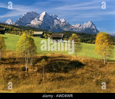 Prairie dans l'automne, Forêt, Mittenwald Gamme Wetterstein, Haute-Bavière, Bavaria, Germany, Europe Banque D'Images